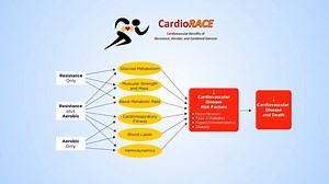 39K views · 1.1K reactions | What type of exercise is best for my health? Methodologically, this animation involves a comprehensive epidemiological approach that includes both large observational (cohort) studies and randomized controlled trials of exercise. | Sci Ani | Facebook