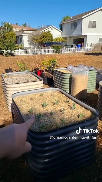 Protect Your Soil with Straw for Healthy Gardens