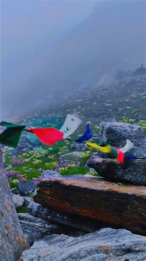 The Buran Ghati Trek. 7-day, 37–45 km, moderate-to-difficult (15000ft)