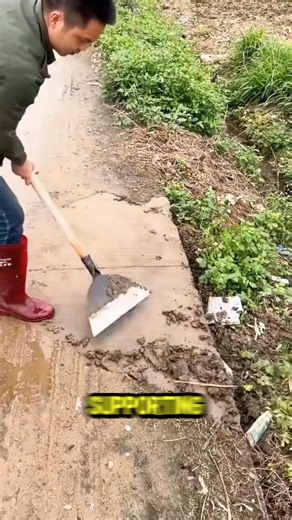 Roadside cleaning with a purpose-built shovel makes the task faster and less strenuous | PAI Também JOGA