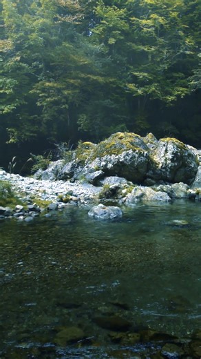 Forest Spring Water Sounds | Ambient Guitar （No AI）