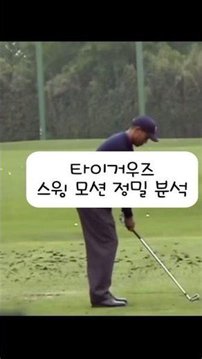 타이거우즈 스윙 모션 분석 #골프 #golf #ゴルフ #골프레슨