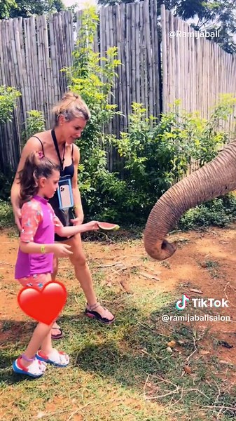 Unforgettable Experience with Rescued Elephants in Phuket, Thailand