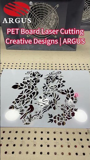 Cut PET Boards with Perfect Precision 🔥 ARGUS LASER Laser Cutter