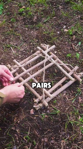 No Bag? This Forest Trick Saves You