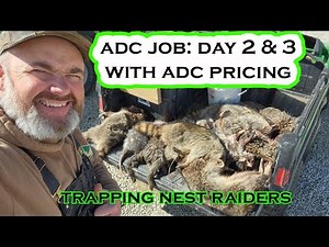 ADC JOB: DAY 2 and 3, with ADC PRICING EXPLAINED | S4 Ep 25 VLOG