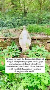 Good Morning! ☀️🤍 The best thing you can do to start off your day is to offer it up in prayer to the Blessed Mother, traditionally called a “Morning Offering.” ​ The classic Morning Offering prayer encourages you to give all the trials and joys that may come to your day to the intercession of the Immaculate Heart of Mary, that she may take them and purify them as a worthy offering, and present it to the Sacred Heart of her Son. ​ ​Memorize it, and make it a daily habit! | The Catholic Company