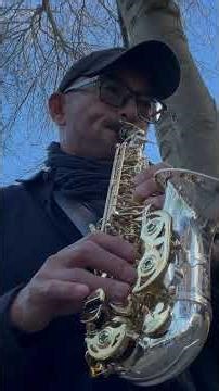 Just For A Moment St. Elmo’s Fire Theme song no.329 #music #nz #sax