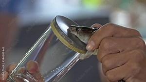 Demonstration of King Cobra snake bite a glass and poisoning by experts, 4k