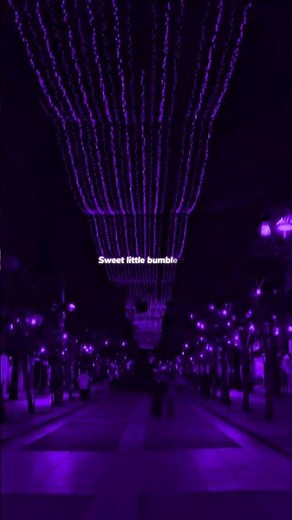 Bumble Bee - Bambee | lyrics | aesthetic | whatsapp Status | English songs | slowed | speed up 💕