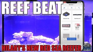 In this episode, Hilary shows you how to set up the Reef Beat app on your iPhone. Join us as we walk you through each step to easily connect the lighting and ReefWave Controller so we can efficiently run our system without any extra hassle. | SaltwaterAquarium.com | Facebook