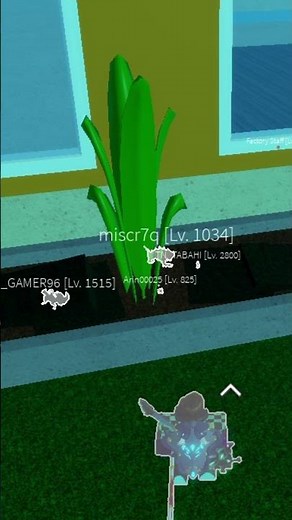 Best Race Evolution In Blox Fruits Right Now #bloxfruits #roblox