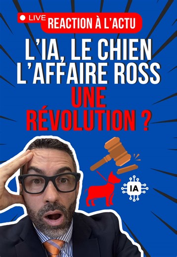Une IA citée dans une décision judiciaire ? Oui. Officiellement. Aux États-Unis. Et ce n’est que le début ↓ Ross c. United States. Cour d’appel de D.C. – 20 février 2025. Deux juges américains citent… ChatGPT dans leurs raisonnements. Un tournant symbolique : l’IA s’invite dans l’univers feutré des décisions judiciaires. Et ce cas pose une question brûlante : jusqu’où laisser l’IA influencer les juges ? ⸻ Une première américaine ? Une femme est condamnée pour cruauté envers les animaux après avo