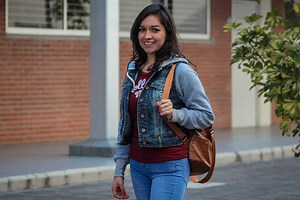 Licenciatura en Mercadotecnia - Universidad ICEL