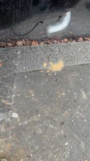 Hemlock diggers: 07490023282 mini and micro diggers hire