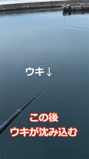 [Must-see for beginners!!] This is the timing to set the hook when you get a bite while float fis...