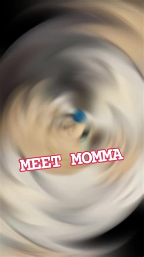 Rebel Animal Rescue: Adopt Your Forever Friend