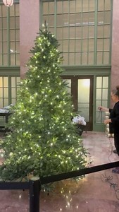 It's timeeeee! 🎄 Union Depot's trees getting their holiday glow-up! Decorations by West Design. #UnionDepot #HolidayDecor | Union Depot