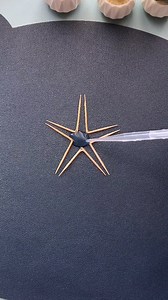 11K views · 15 reactions | A small parent-child science experiment suitable for doing with children: toothpick five-pointed star⭐️ #ToothpickStar #STEMExperiment #CapillaryAction #KidsScience #DIYScience #ParentChildActivity #EducationalFun #MagicScience #HandsOnLearning #CreativeSTEM | Art, Crafts and Journals | Facebook