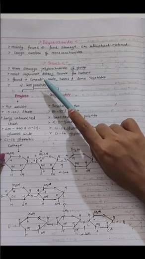 Starch / Biomolecules class 12 chemistry handwritten notes