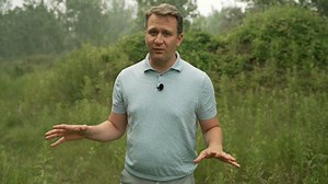 3.7K views · 29 reactions | There are more ticks, in more places, causing more Lyme disease. | CBC News: The National | Facebook