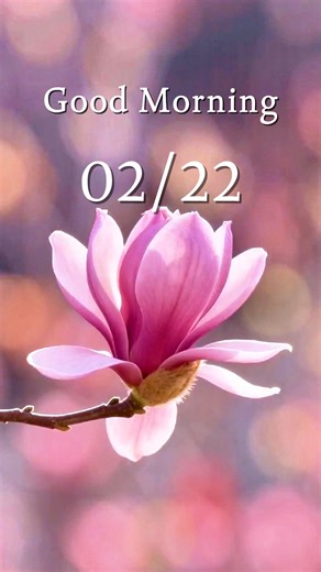 📍 #Guangdong The city is immersed in a sea of blossoms as spring unfolds. 🌸✨ Flowers ripple through the streets, swaying gently in the breeze. #SpringVibes #Flowers #FlowersLovers #BloomingSeason #Travel #ChinaTravel | The South