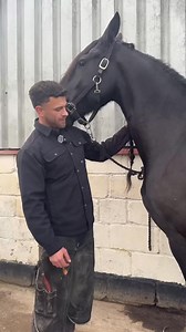 Forging a horseshoe 😅 #farrier #horse #shoe #satisfying #shorts #fyp | Swfarriers.