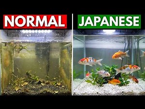 THE JAPANESE METHOD TO CLEAN YOUR AQUARIUM IN 2 MINUTES (NO CHEMICALS)