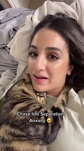 Does anyone else experienced this post quarantine ?? #covid19 #covid #quarantinelife #quarantine #catcare #funny #funnycats #funnyvideos #reels #reelsinstagram #reel #kittenlove #kitty #grumpy #love #catgram #catloversclub #kitten #catlovers #catlifestyle #catreels | Feline Club of India