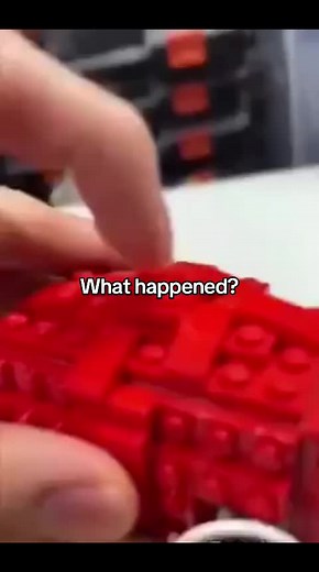 Funny Memes Featuring Staring Animals