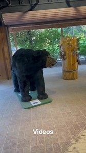 Explore Lagoon Amusement Park with us! | Saran’s Kitchen and lifestyle