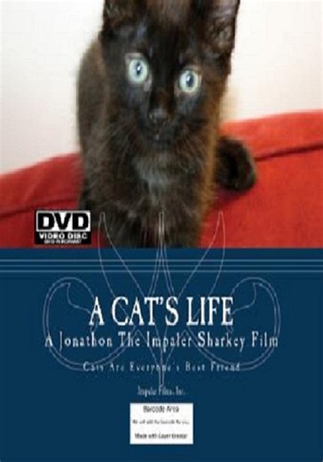 A Cat's Life streaming: where to watch movie online?