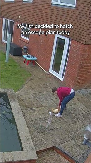 She Was NOT Expecting This From Her Backyard Pond 😳