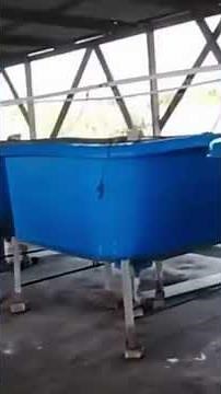 Tilapia Farming, Commercial Grade Nursery setup