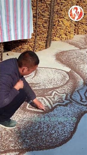 Grains | Painting with grains in the yard