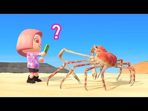 How to Catch a Spider Crab | Animal Crossing New Horizons | ACNH | RARE mystery island