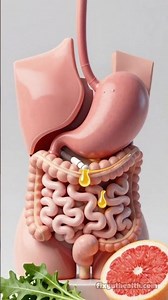 How Bitter Foods Boost Your Digestion Fast