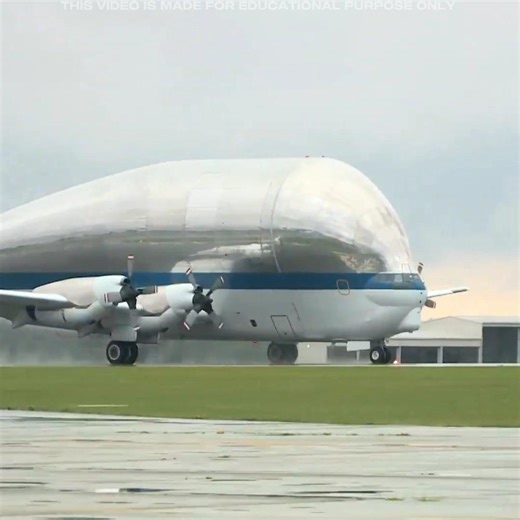 This Plane Has The Biggest Forehead 😱 #shorts #facts #amazingfacts