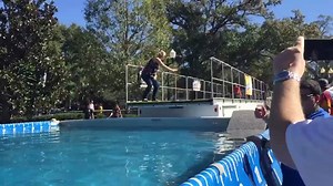 3.6K views · 130 reactions | Splash Dogs dock Diving - fun to jump and fun to watch! | Pet Alliance | Facebook