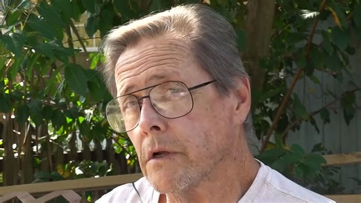 My neighbor's tree caused $1,000s in damage to my home - & I have to pay for it