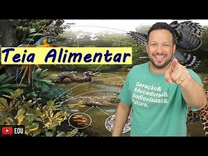 Food Web - Ecology - Biology with Sharks