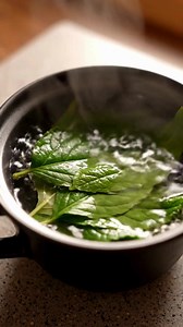 Unlocking the Hidden Power of Mango Leaves: 30 Incredible Benefits and DIY Uses | Nature's Tricks & Tips