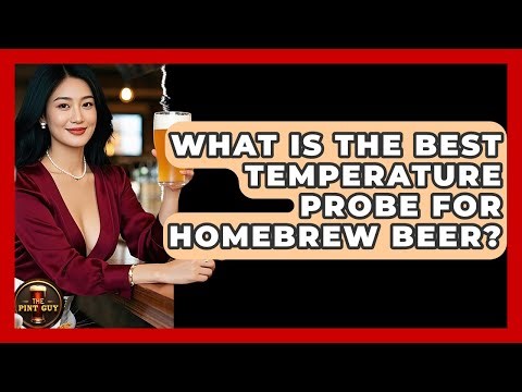What Is The Best Temperature Probe For Homebrew Beer? - The Pint Guy