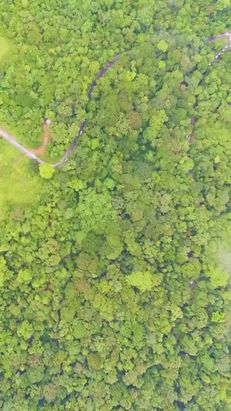 Agumbe Ghat Like Never Before | Cinematic Drone Journey Through the Western Ghats 🌫️🚁