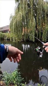 Catching Pike with Ultralight gear. #pike #pikefishing #fishing #lurefishing