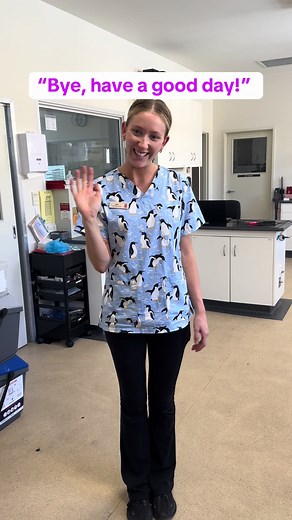 Pets and their people vets on TikTok