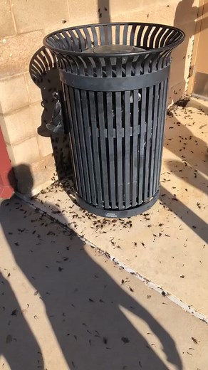 Spend quarantine with your ex or 24 hours in this bathroom #celebratedoctors #sidehustle #thrifted #fyp