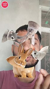 Add the perfect rabbit 🐇 body in one click #rabbit #bunny #rabbitsofinstagram #bunnylove #rabbits #bunniesofinstagram #bunnies #rabbitlife #cute #rabbitlove #pet #bunnyrabbit #bunnylife #rabbitstagram #petsofinstagram #cutebunny #love #bunnyoftheday #bunnygram #bunnylover #instabunny #hollandlop #rabbitsworldwide #pets #kelinci #bunnystagram #bunniesworldwide #animals #lapin #kelincihias | Pramod Puzzle