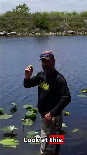 How to Drink Water Using a Lily Pad Stem | Nature Survival Hacks