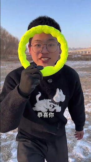 Mastering the Toy Fetch Game: Is Your Dog a Pro